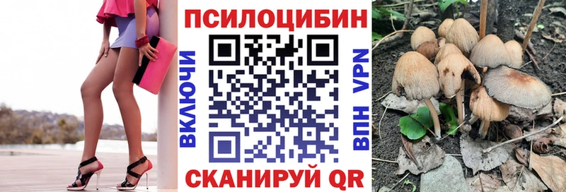 наркотики  Волоколамск  Псилоцибиновые грибы Psilocybe 